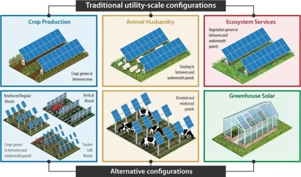 agri-pv configurations